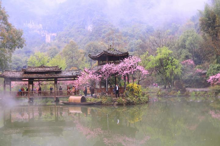 银河中动物逃生
